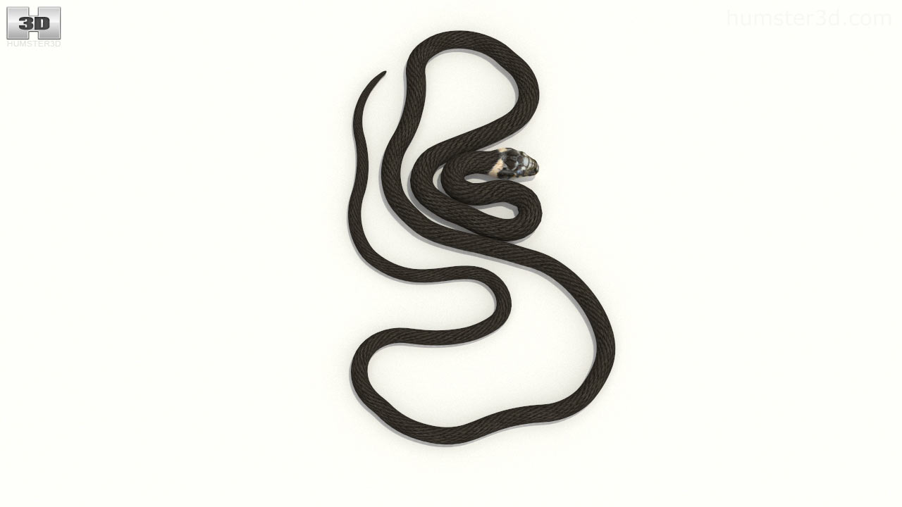 Với Mô hình 3D con rắn cỏ thấp poly sẽ mang lại những trải nghiệm sinh động và hài hước về một loài hoàn toàn mới. Khám phá thiết kế chi tiết, đầu rắn uốn lượn và màu sắc sống động, bạn sẽ cảm thấy như rơi vào thế giới của con rắn cỏ.