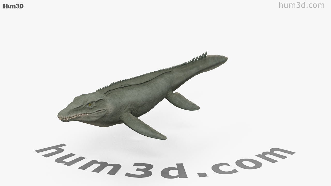 mosasaurus 3d google