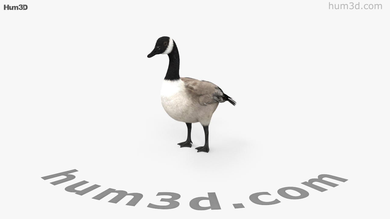 canada goose amazon 3dgames