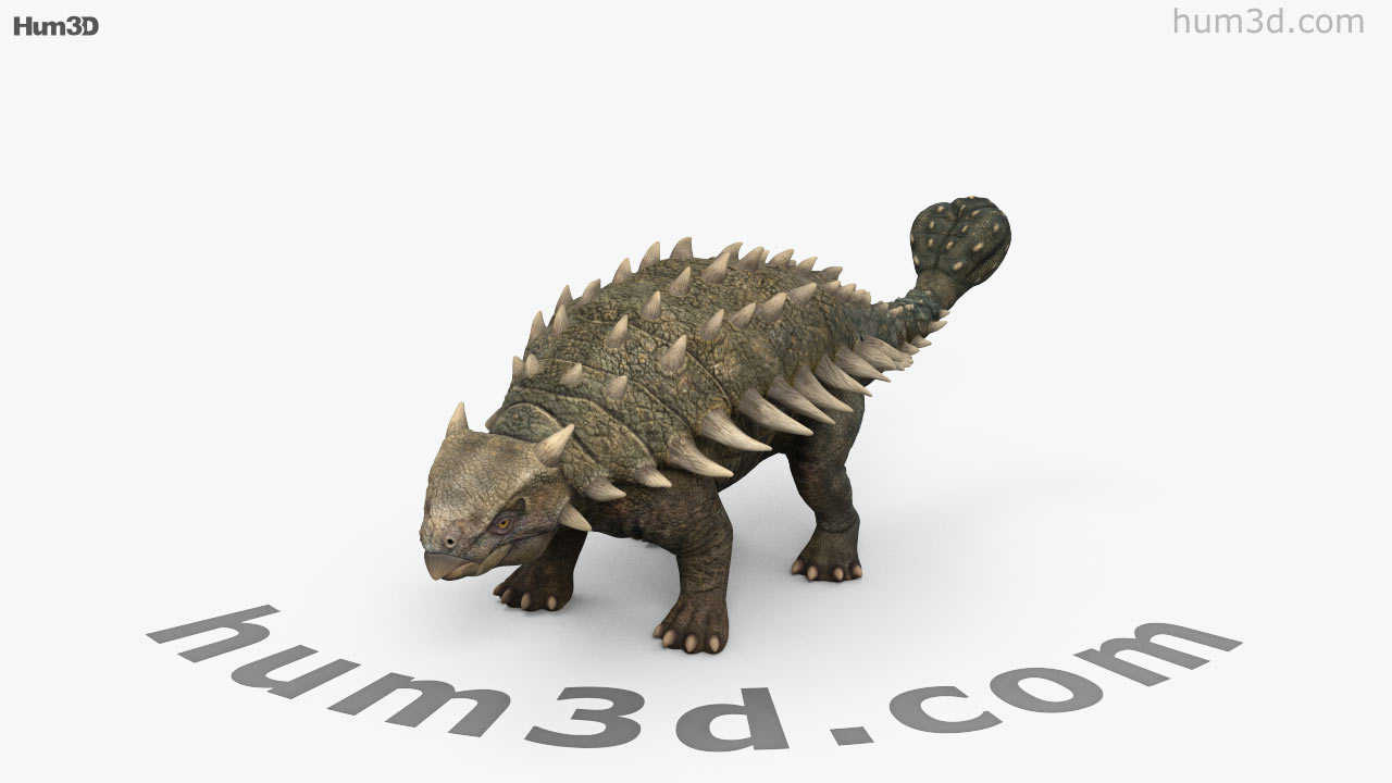 ankylosaurus 3d google