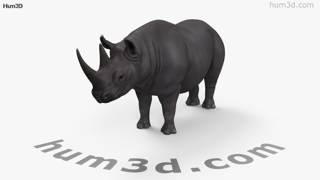 Rhinoceros 3D 7.32.23215.19001 free download