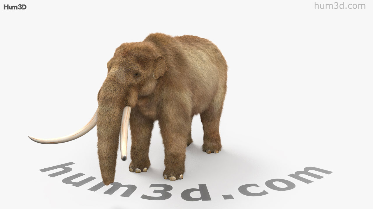 360 View Of Mastodon 3d Model Hum3d Store