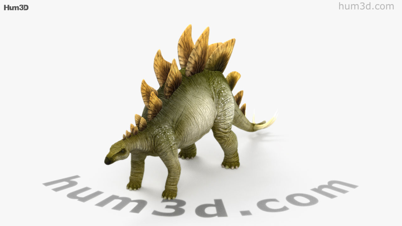 stegosaurus view in 3d