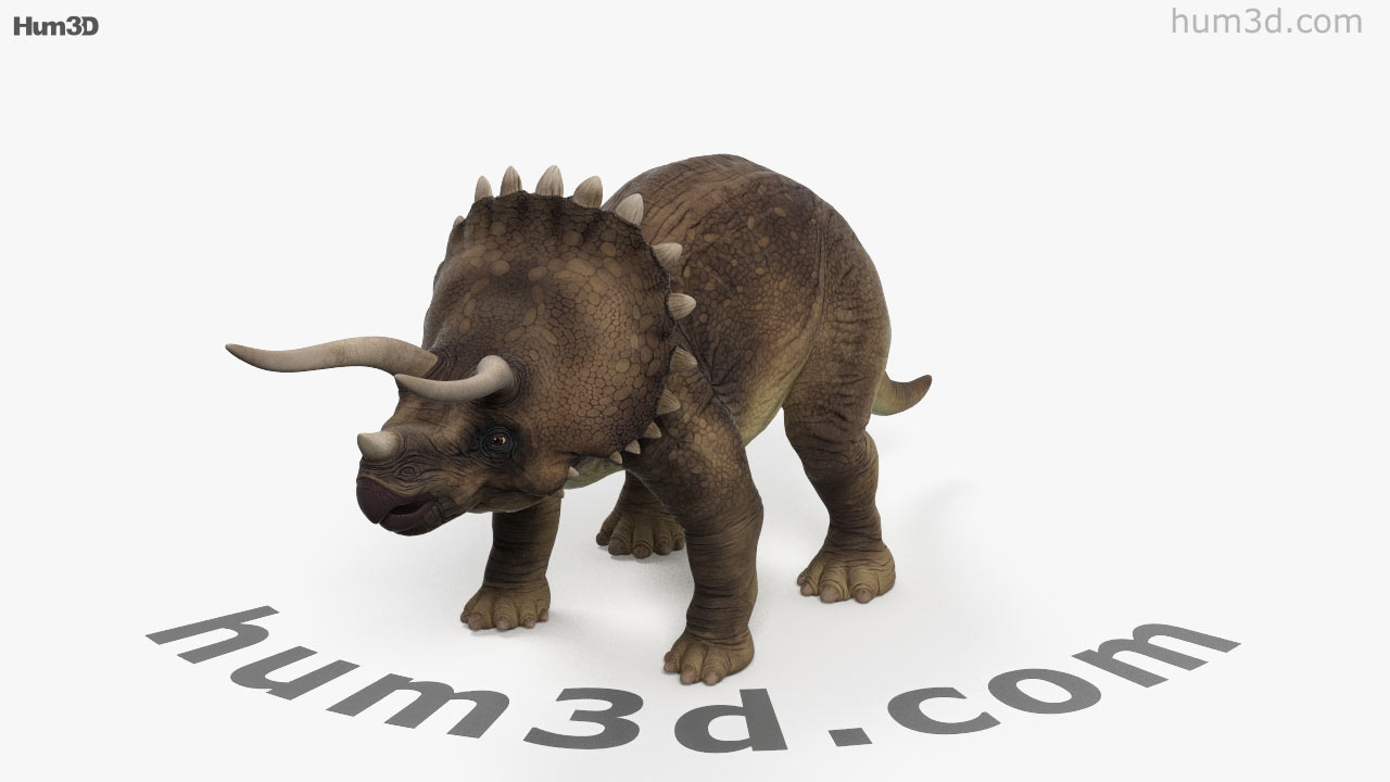 triceratops 3d view google