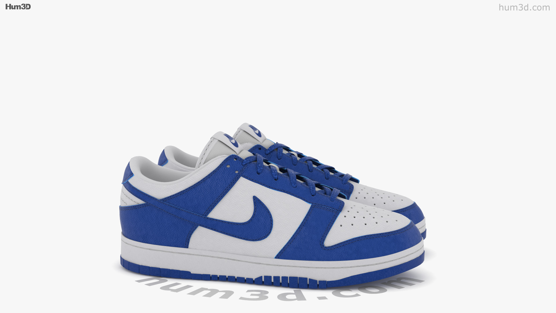 nike dunks 360 view