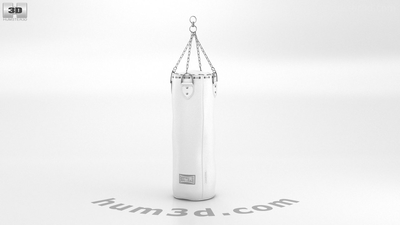 360 view of Punching Bag 3D model Hum3D store